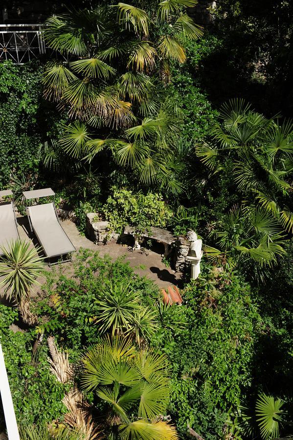 Superior Double or Twin Room with Garden View,664490634:JPEG